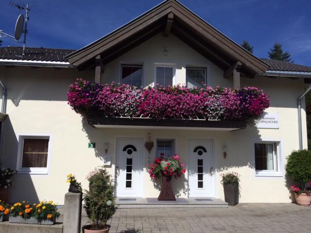 Horngacher Apartment *