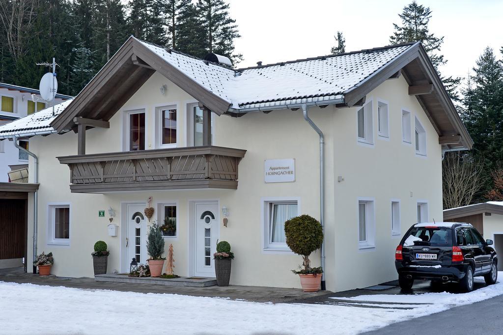 Apartment Horngacher Scheffau am Wilden Kaiser
